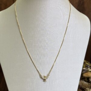 Religioso Espíritu Santo